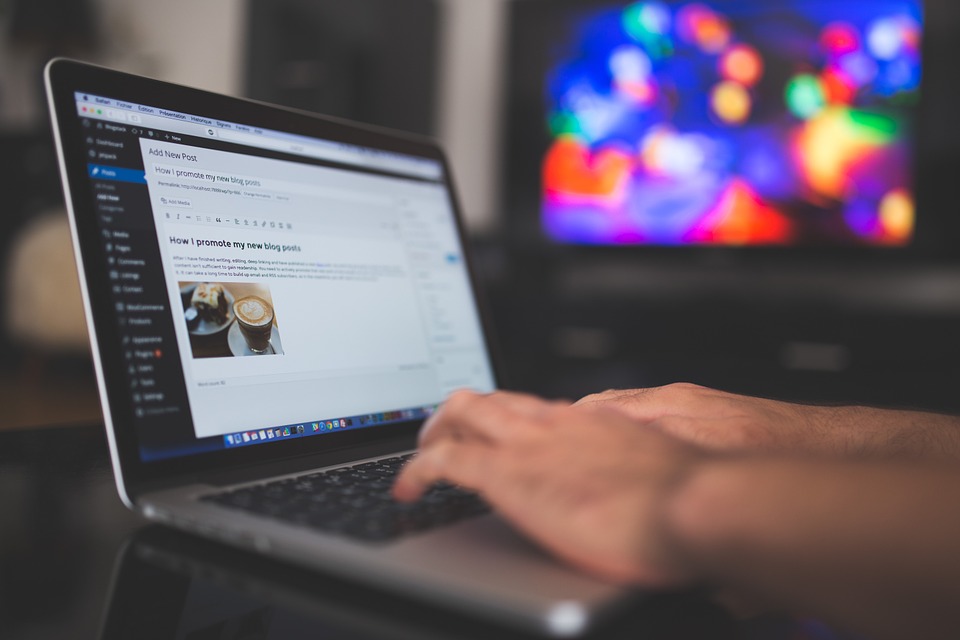 wordpress-923188_960_720 (1)