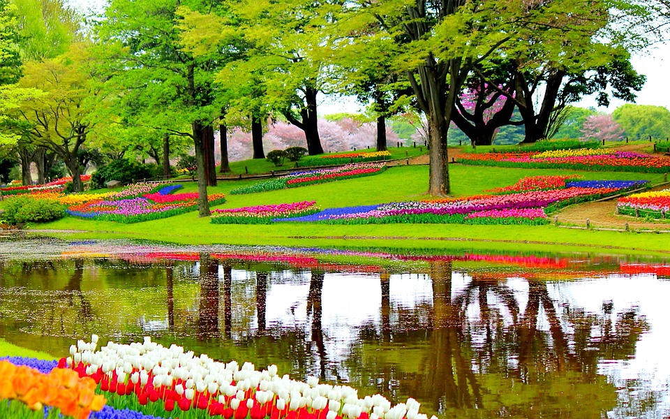 garden-1093681_960_720