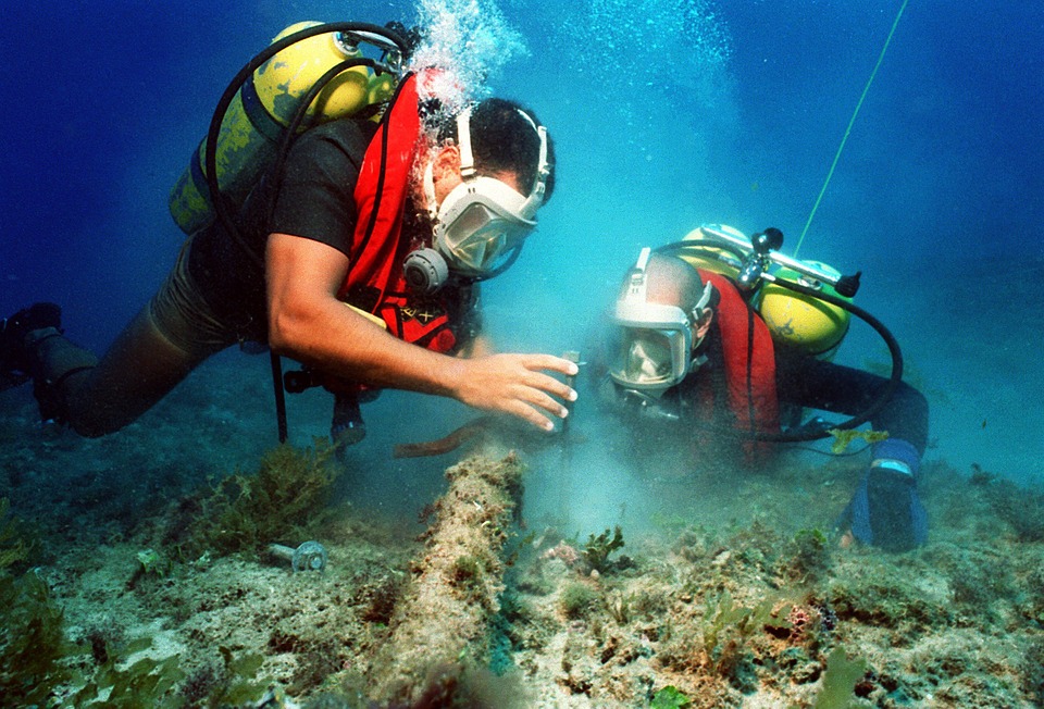 divers-1022_960_720