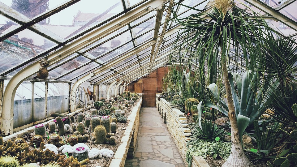 greenhouse-768740_960_720