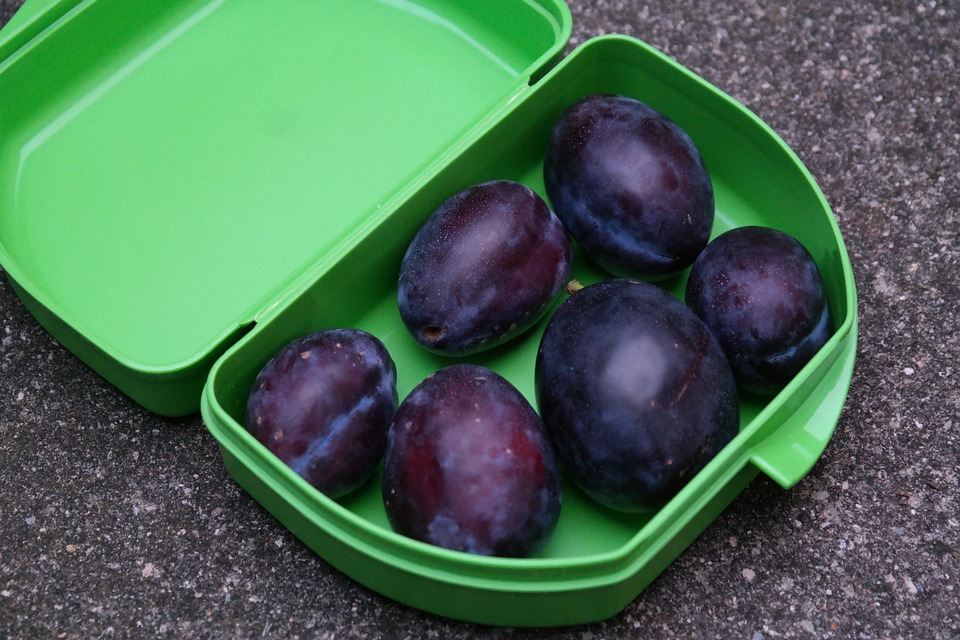 lunch-pail-225928_960_720