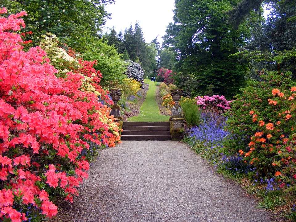 garden-470704_960_720