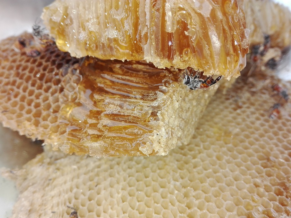 honey-1637114_960_720