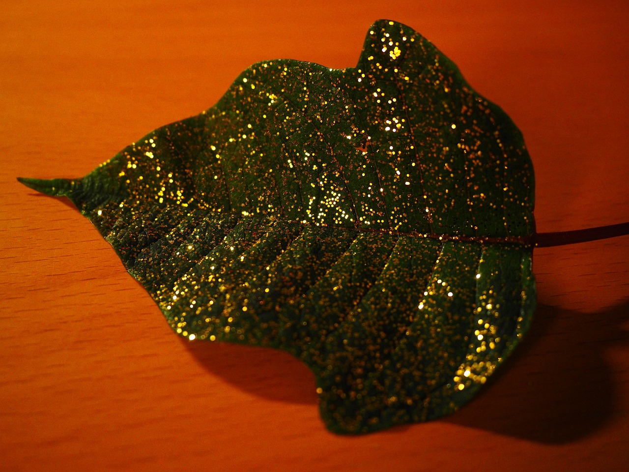 leaf-919727_1280