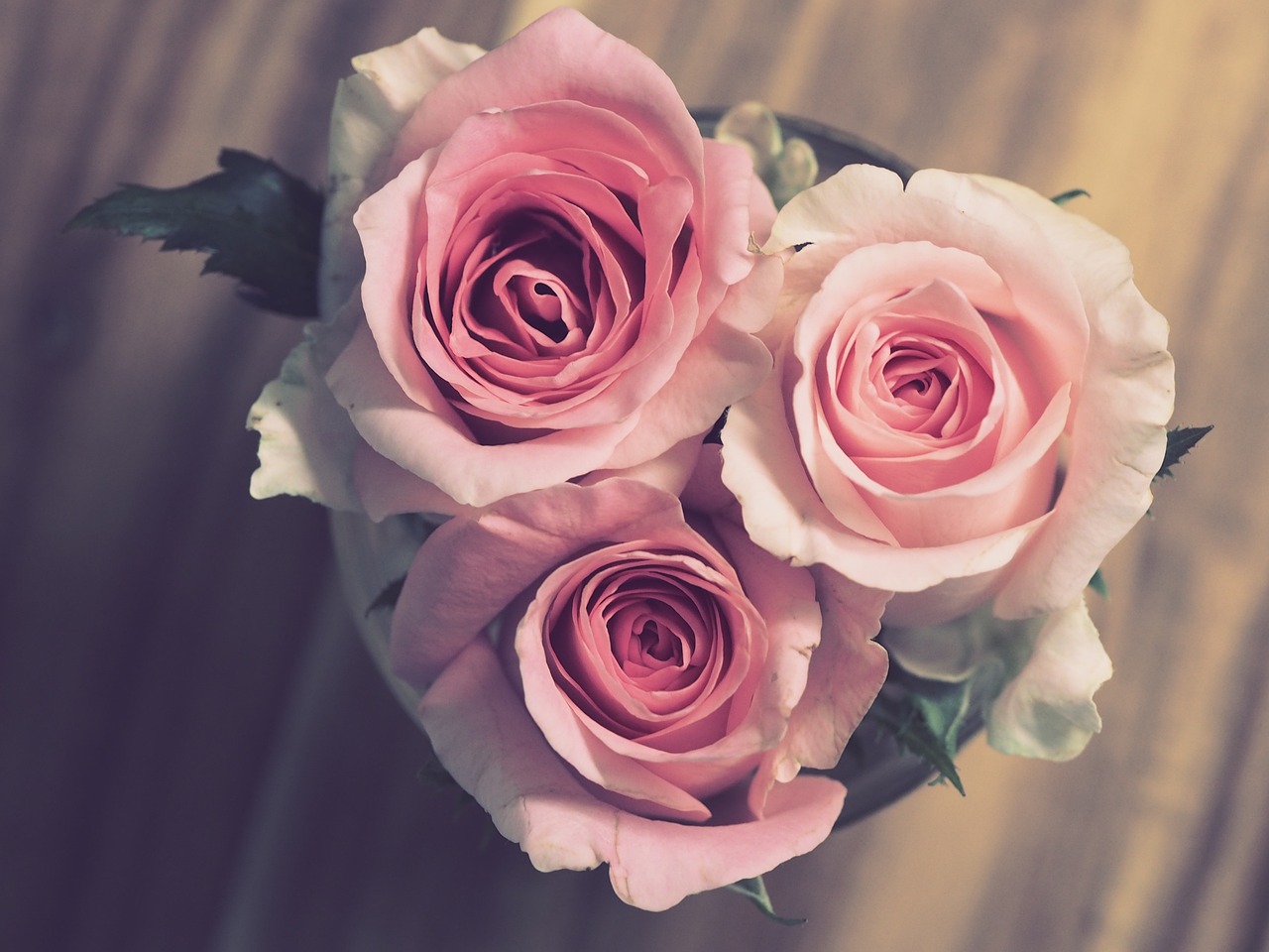roses-3072698_1280