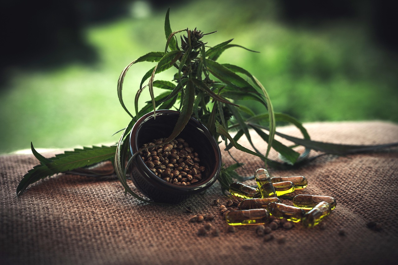 cbd-4470952_1280