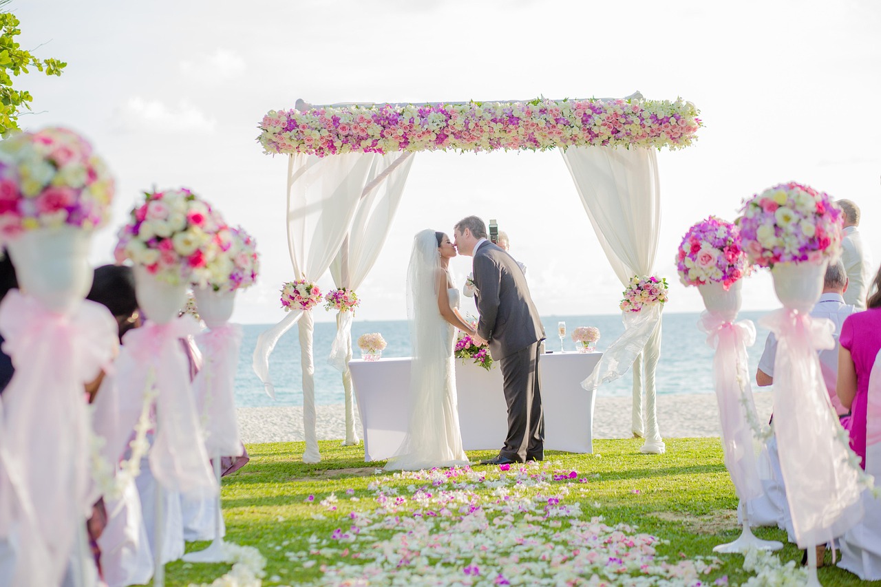 flower-achway-2574849_1280