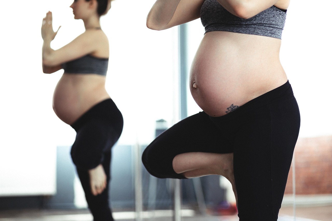 pregnant-2568395_1280