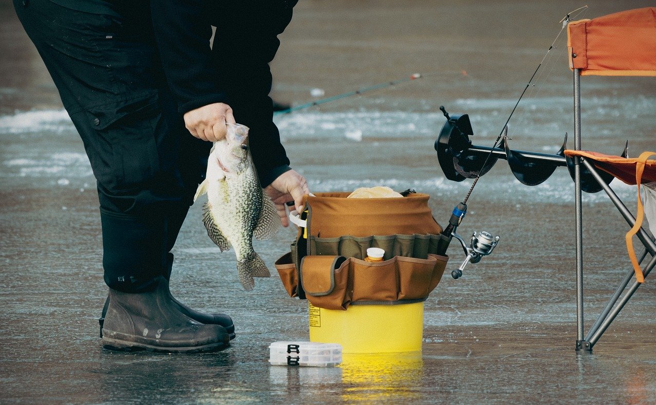 fish-9410023_1280