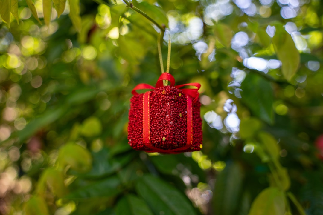 a red ornament hanging from a tree