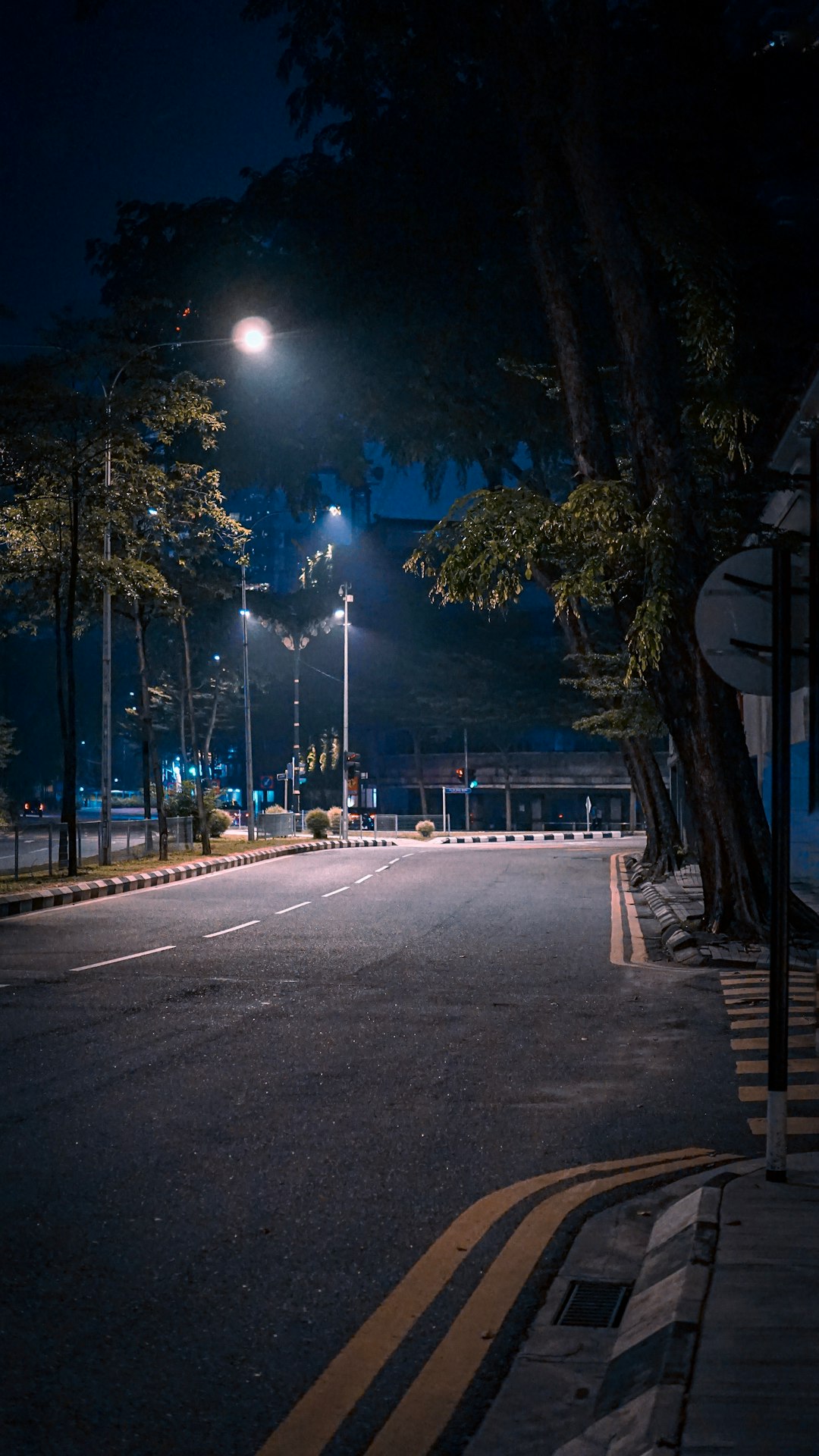 An empty asphalt road at night illuminated by bright streetlights and tall trees