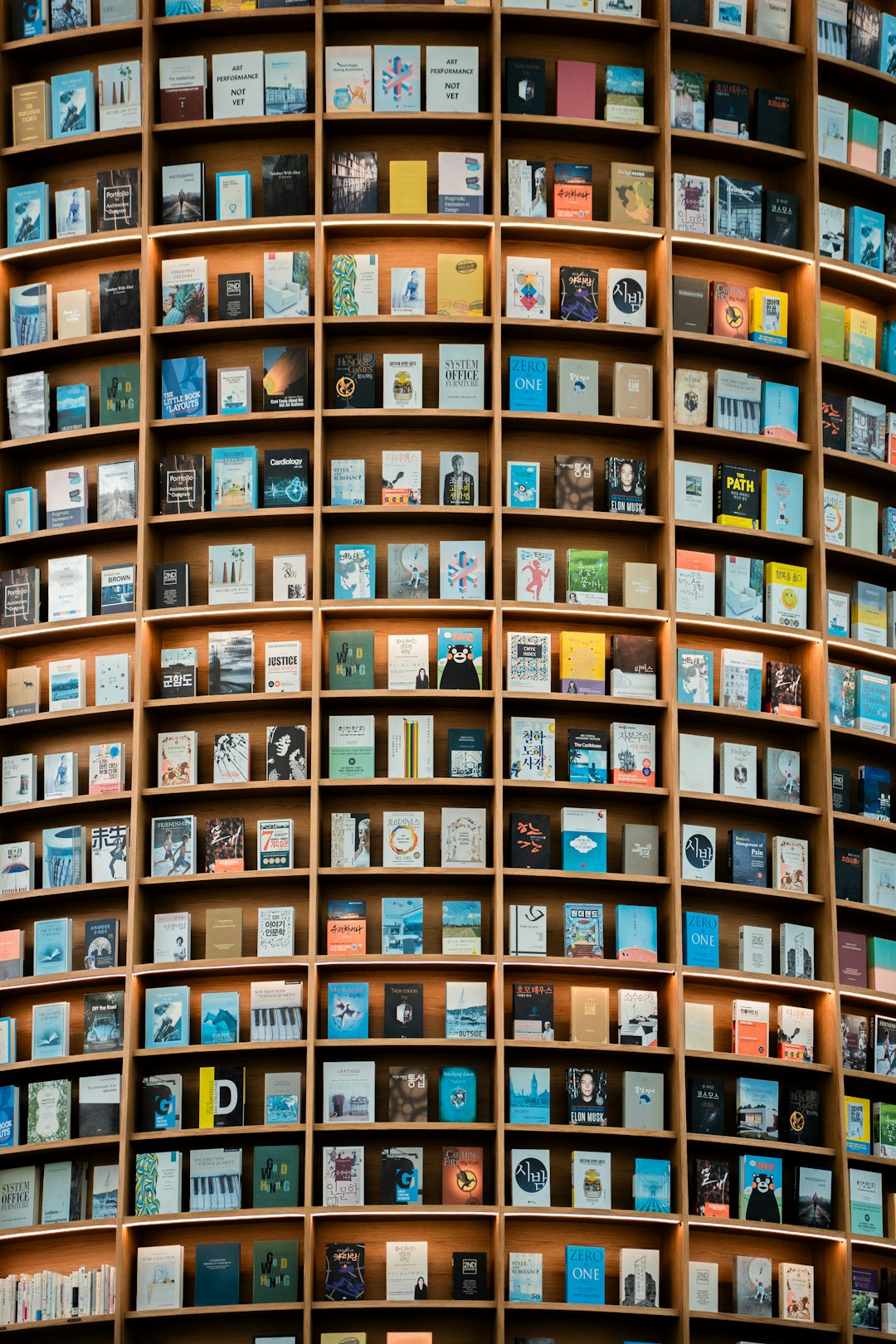 Curved wooden shelves filled with many books, individually lit